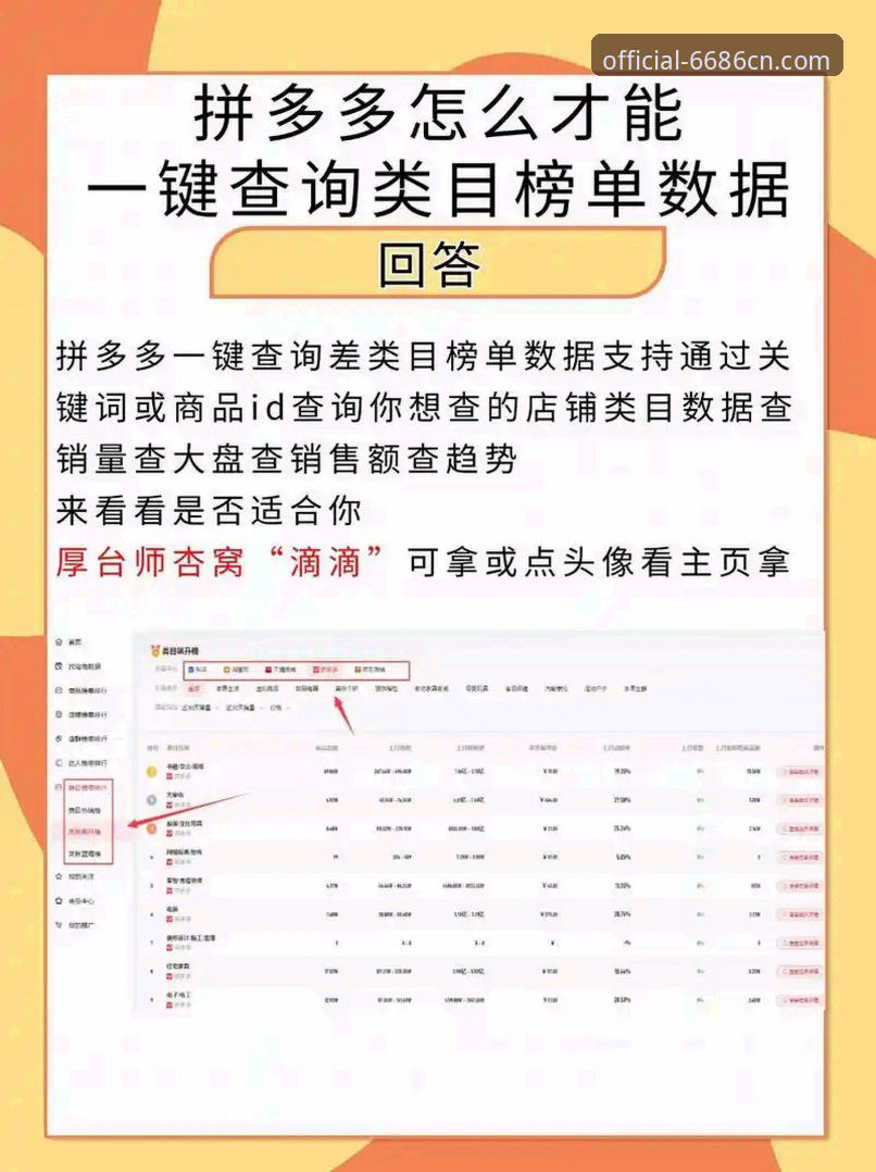 5个实用技巧快速掌握6686平台数据查询功能
